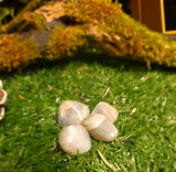 Moonstone
