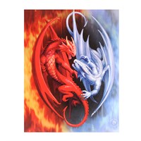 19X25cm 'FIRE & ICE' Canvas