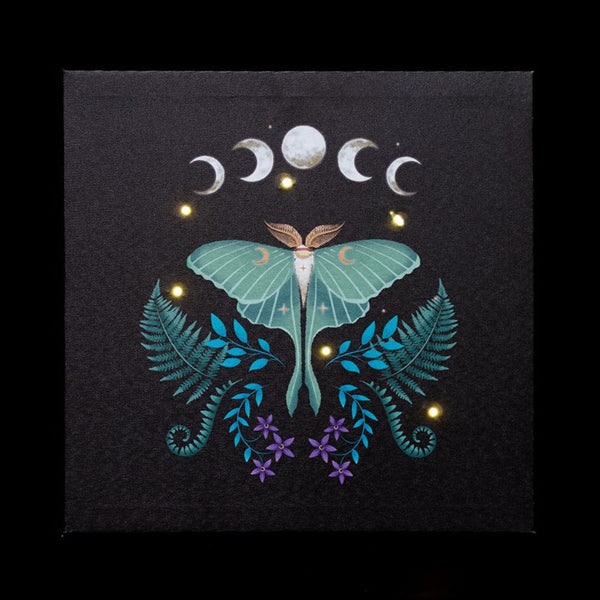 Dark Forest Light Up Canvas Range