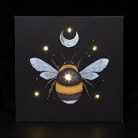 Dark Forest Light Up Canvas Range