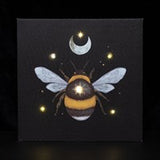 Dark Forest Light Up Canvas Range