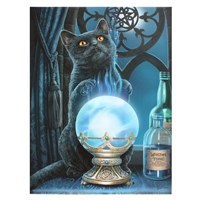 19X25cm 'THE WITCHES APPRENTICE' Canvas