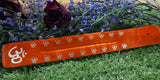 Chakra Colour Themed Incense Stick/Cone Holder