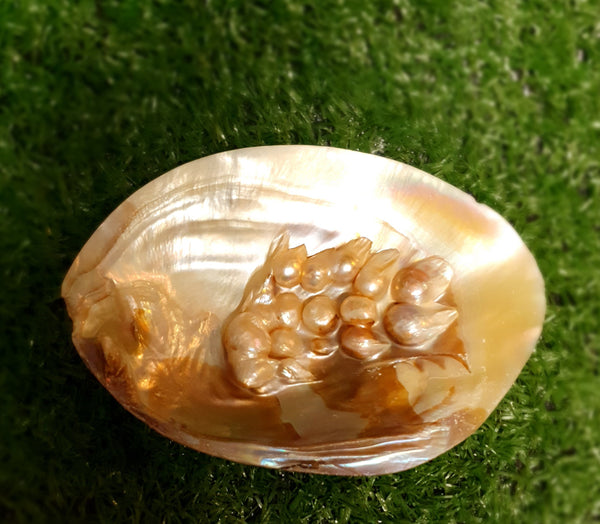 River Shell with Pearl