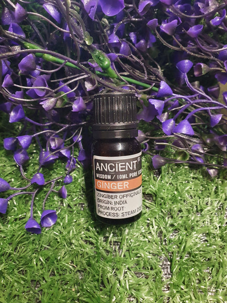 Ginger Essential Oil 10ml