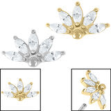 Sunrise Marquise Fan