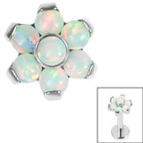 Titanium Opal Flower Top