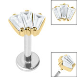 The Gold Collection