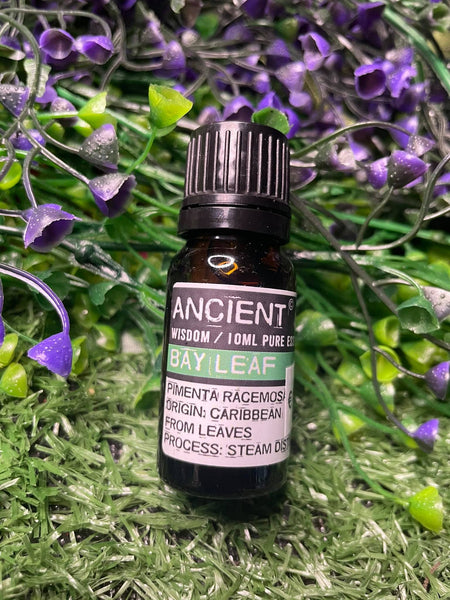 Bay Leaf Essential Oil 10ml