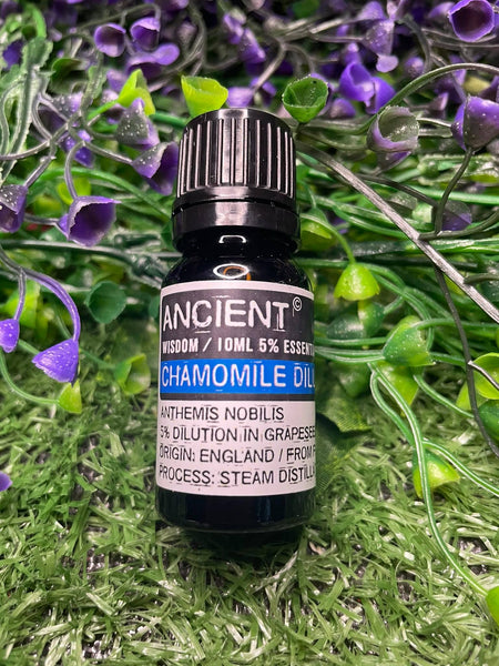 Chamomile Dilute Essential Oil 10ml