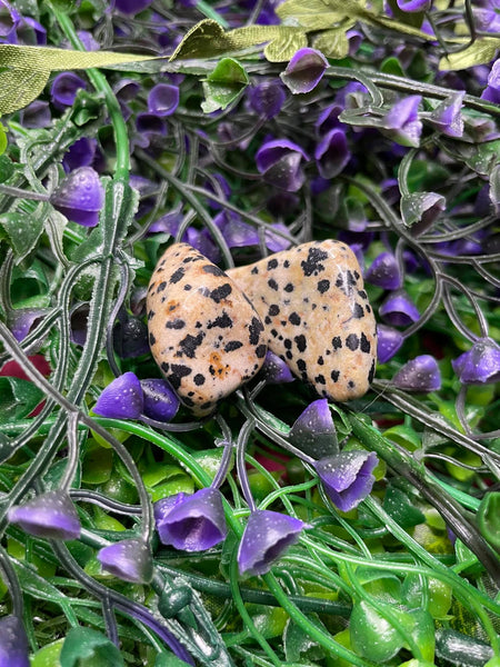 Dalmation Jasper