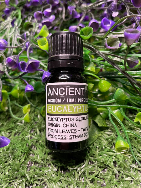 Eucalyptus Essential Oil 10ml