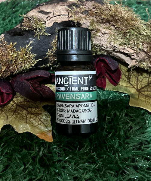 Ravensara Essential Oil 10ml