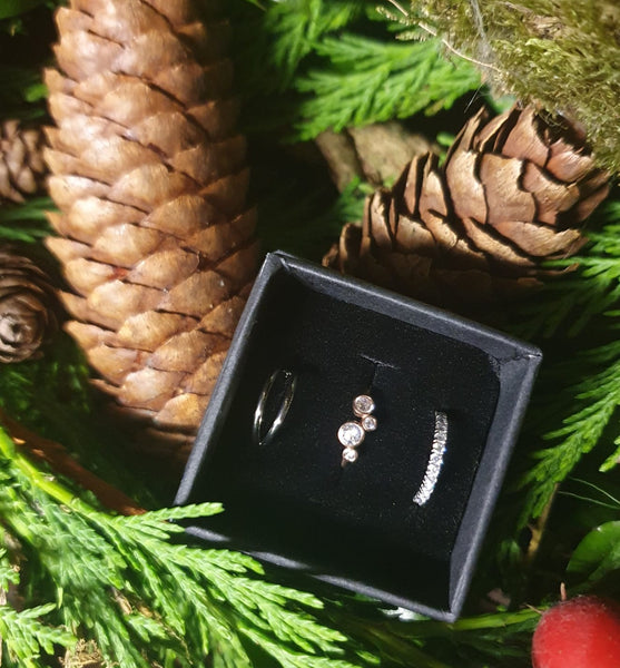 Conch Gift Set