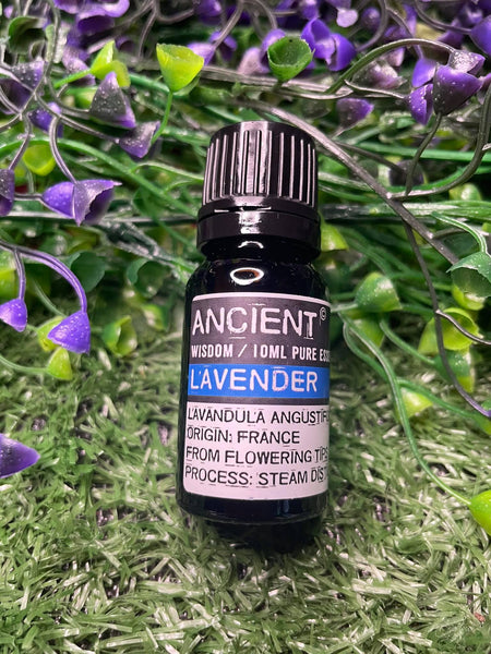 Lavender Essential Oil 10ml