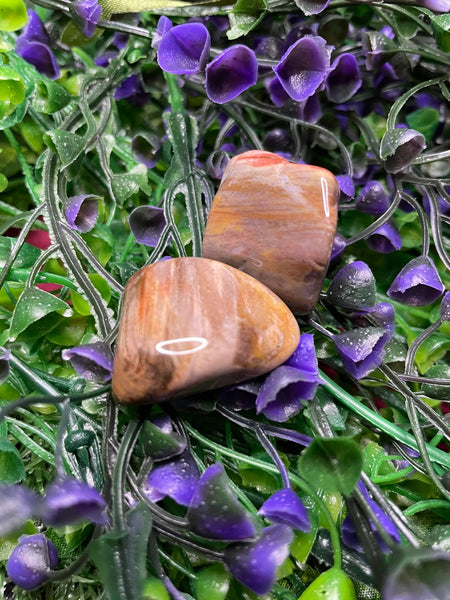 Petrified Wood