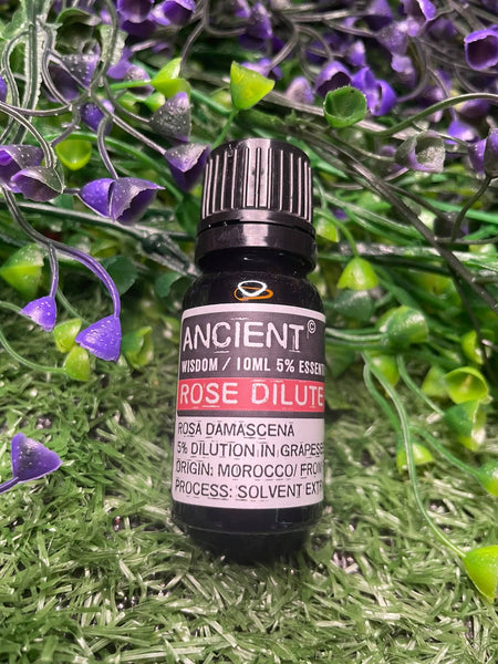 Rose Dilute Essential Oil 10ml