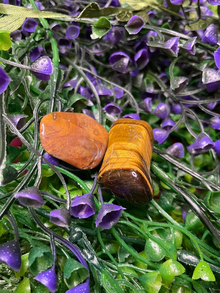 Tigers Eye Gold