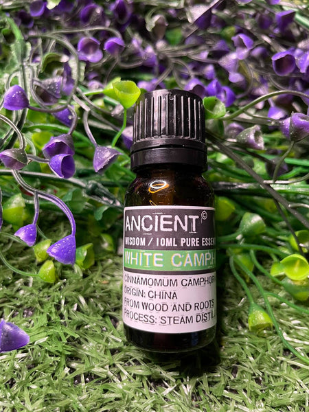 White Camphor Essential Oil 10ml