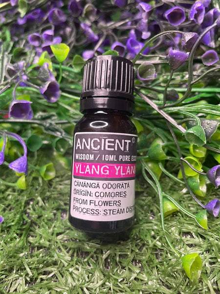 Ylang Ylang Essential Oil 10ml
